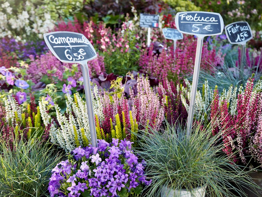 https://nineelmsflorist.co.uk/blog/where-to-buy-flowers-at-new-covent-garden-market/